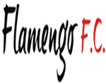 http://www.flamengofc.com.br/